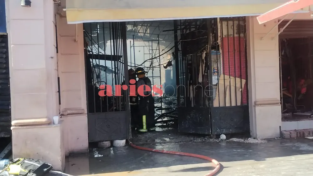 WhatsApp Image 2024-11-06 at 09.14.22