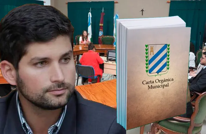 Lara Gros - Carta Orgánica