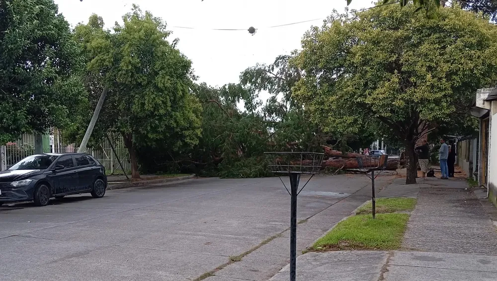 WhatsApp Image 2026-01-07 at 19.41.57