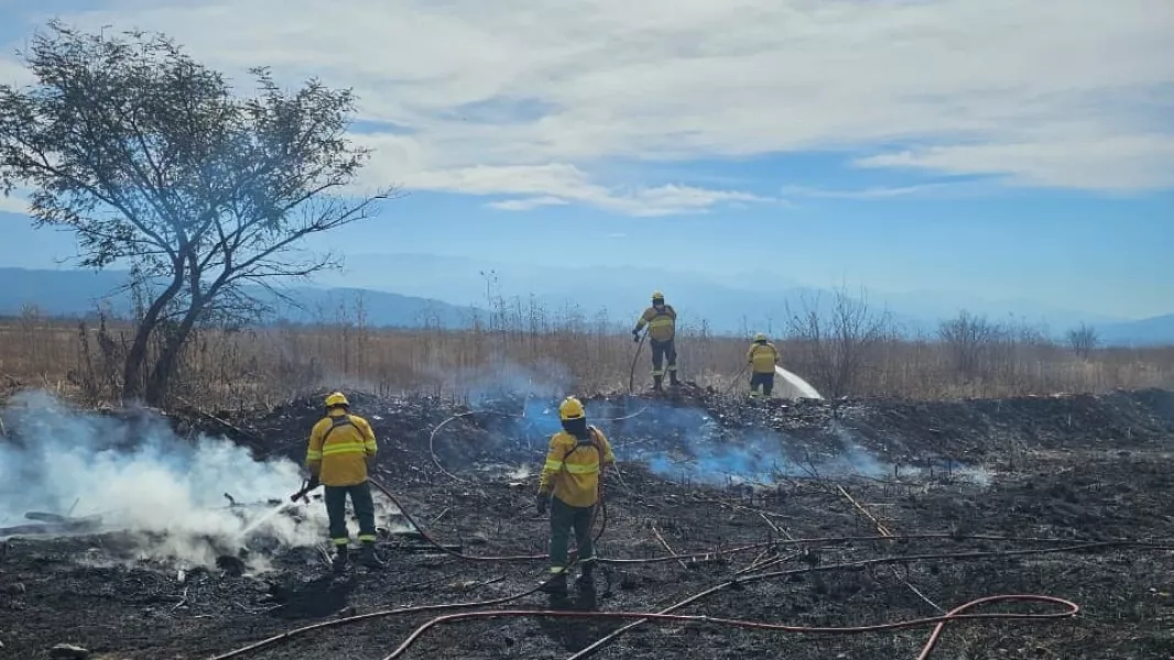 INCENDIOS PASTIZALES