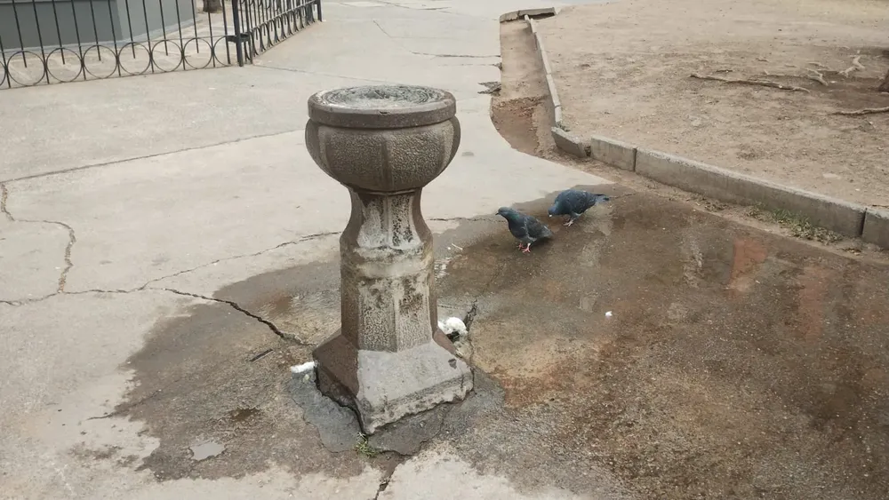 rotura bebedero plaza belgrano 