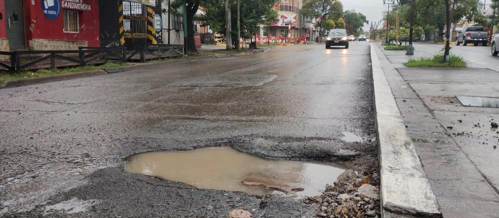 bache sarmiento
