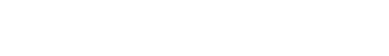 AriesOnLine